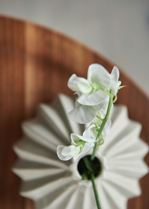 Weiße Blume in weißer Vase
